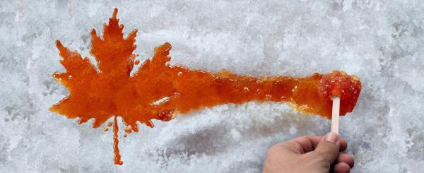 Maple Syrup Form What Is Organic Maple Syrup- Behind The Scenes